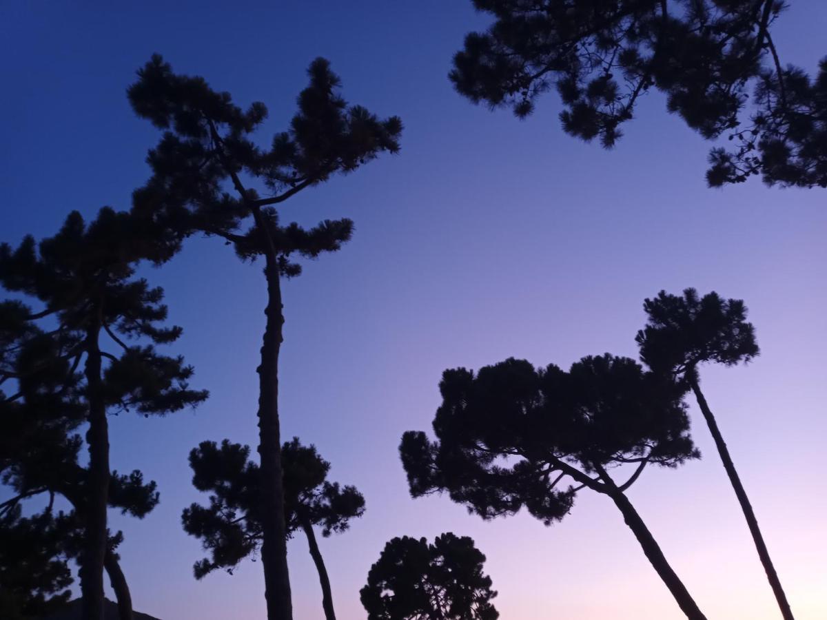 A Luna Rossa Coti-Chiavari  Dış mekan fotoğraf